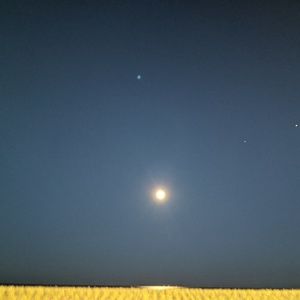 Meet your Posher, Charis